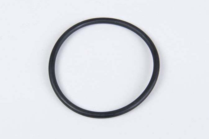 O-RING OR-079