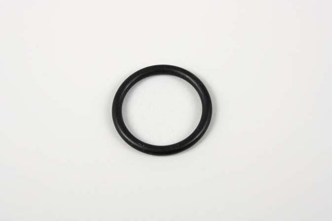 O-RING OR-5599
