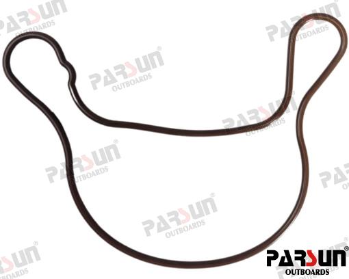 SEAL RING PAF115-05080004