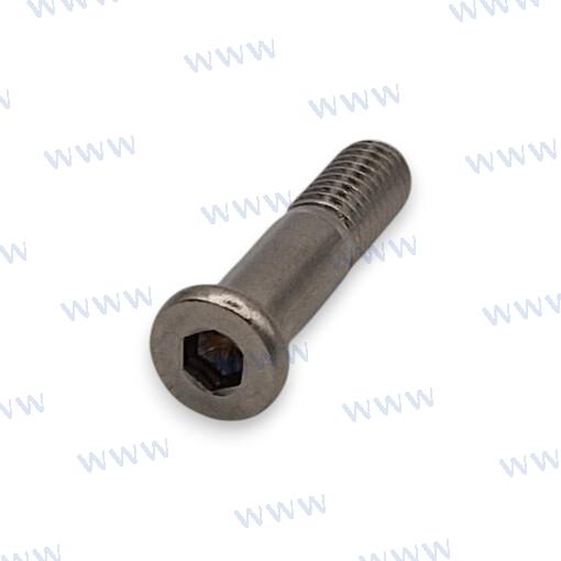 BOLT PAF115-07000103
