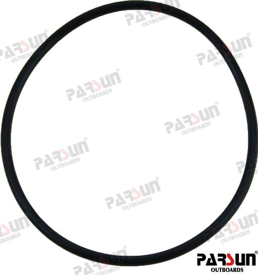 O-RING PAF20-04060002E