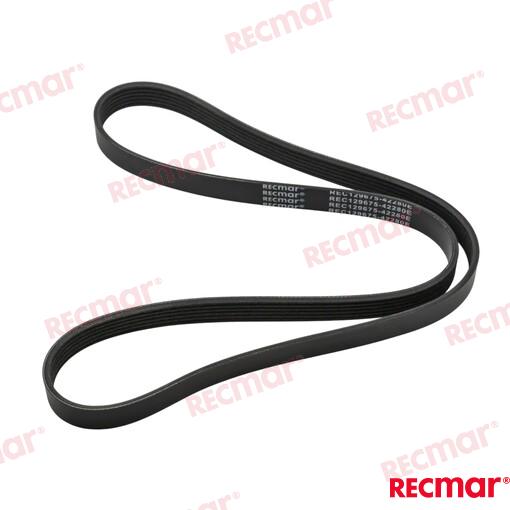 BELT V-RIBBED REC129675-42280E