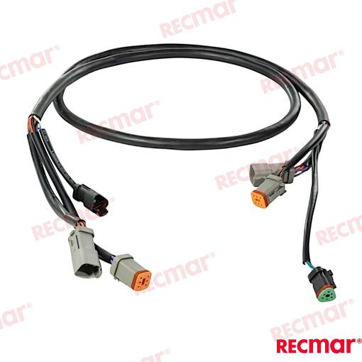 EXTENSION ARNES 5FT REC176333