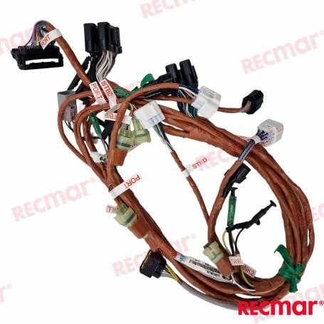 HARNESS ASSY BCM NO.1 MULT REC36623-98L30