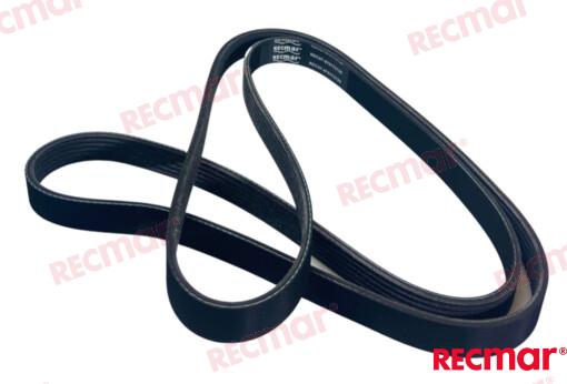 SERPENTINE BELT REC57-879172120