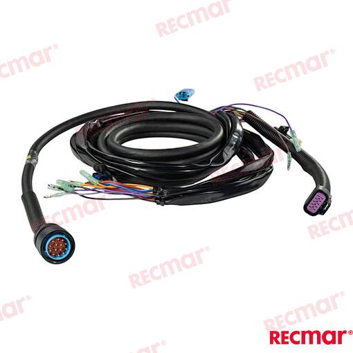 EXTENSION  15FT REC896537T15