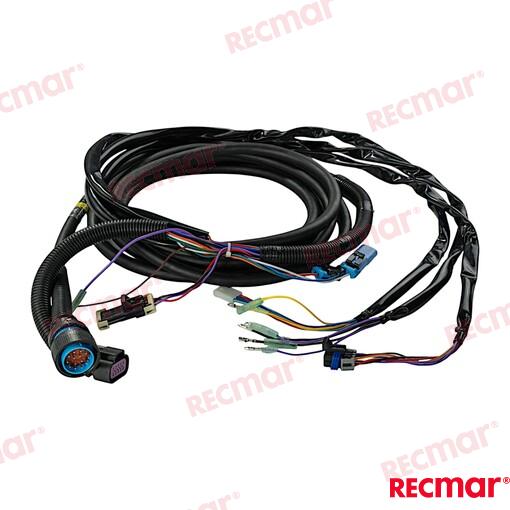 EXTENSION  20FT REC896537T20