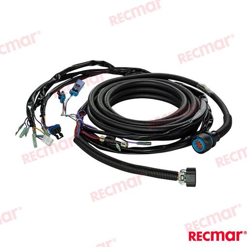 EXTENSION  24FT REC896537T24