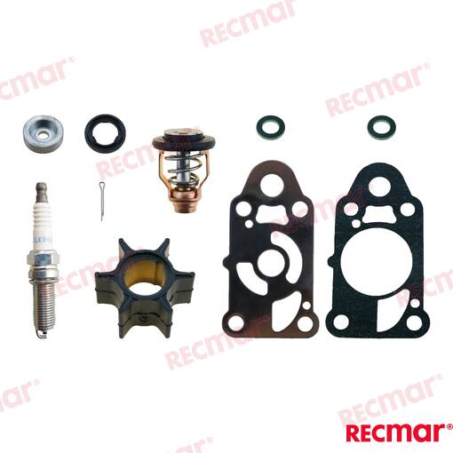 MERCURY SERVICE KIT RECKITMER2.5