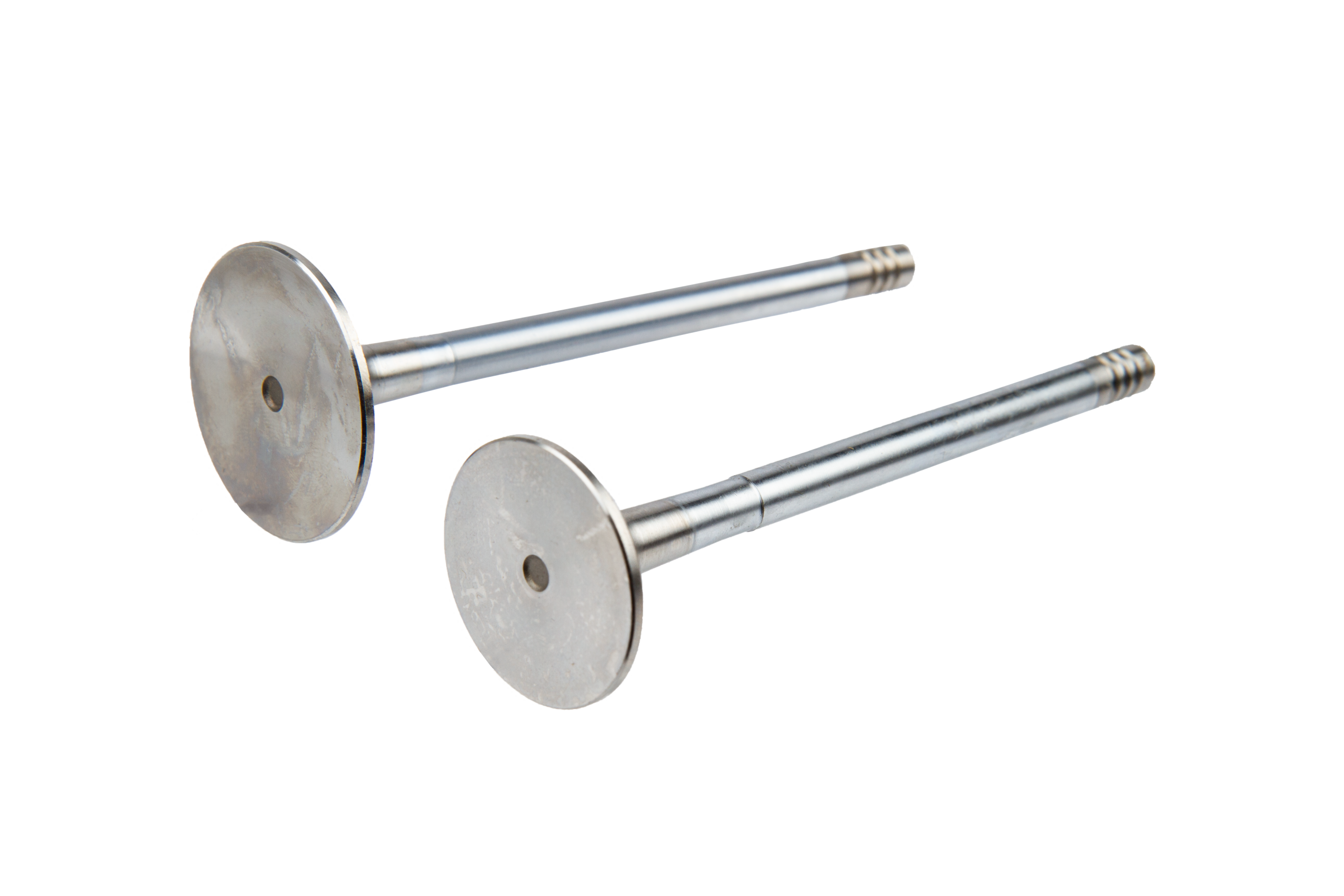 Exhaust Valve D40 FRG12389