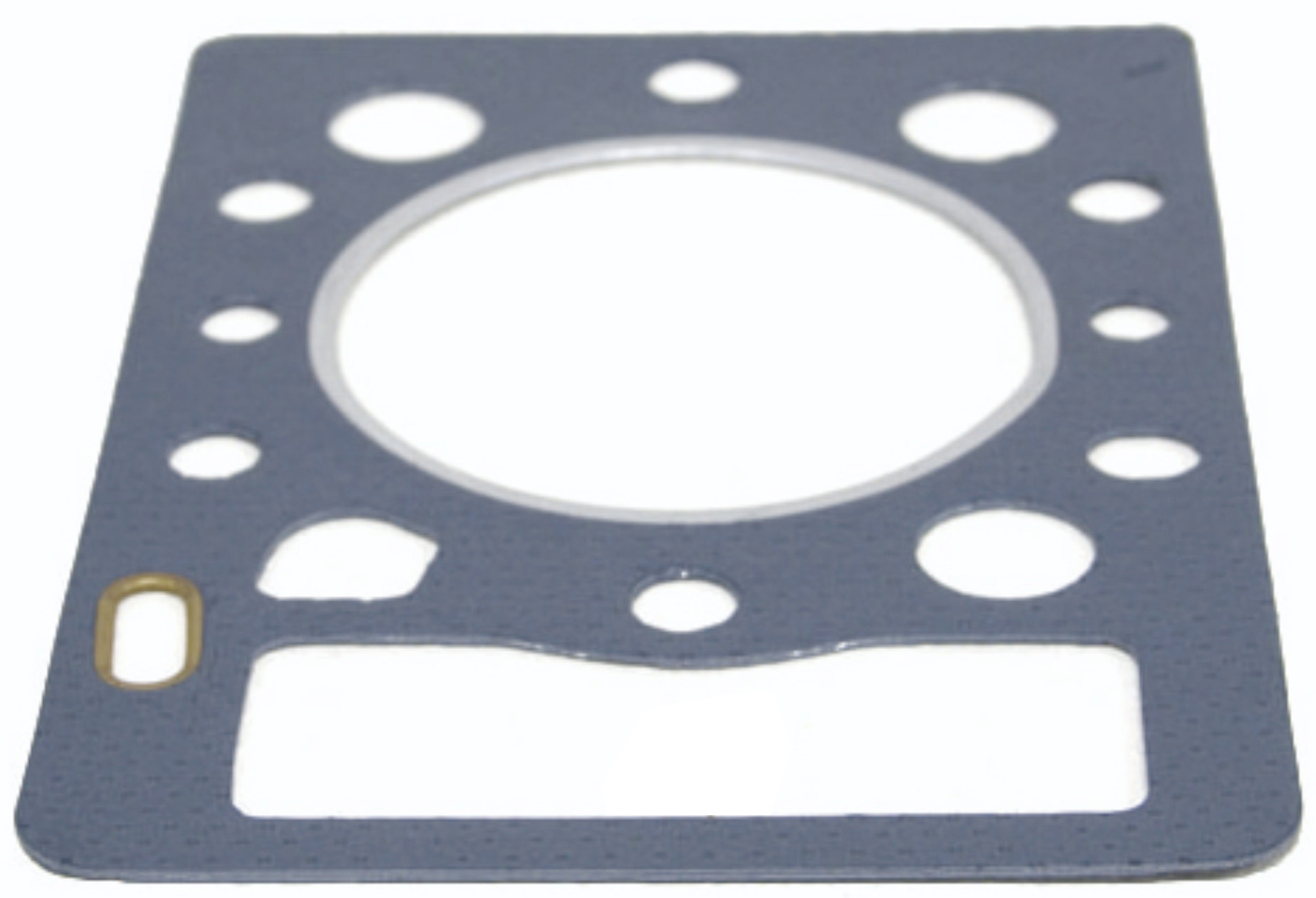 Cylinder head gasket 2001 FRG13569