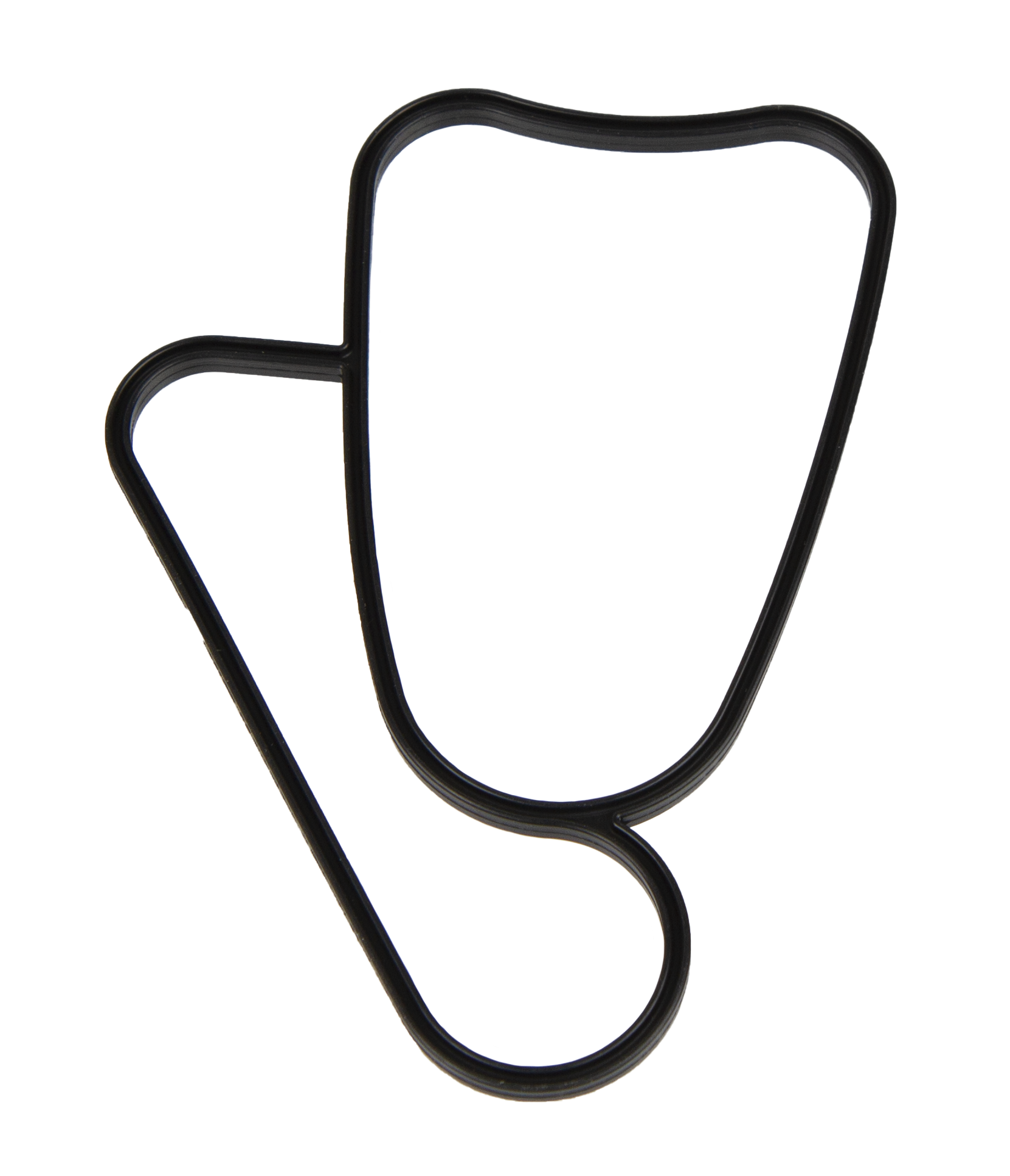 Gasket SX, DPS, FWD FRG19784