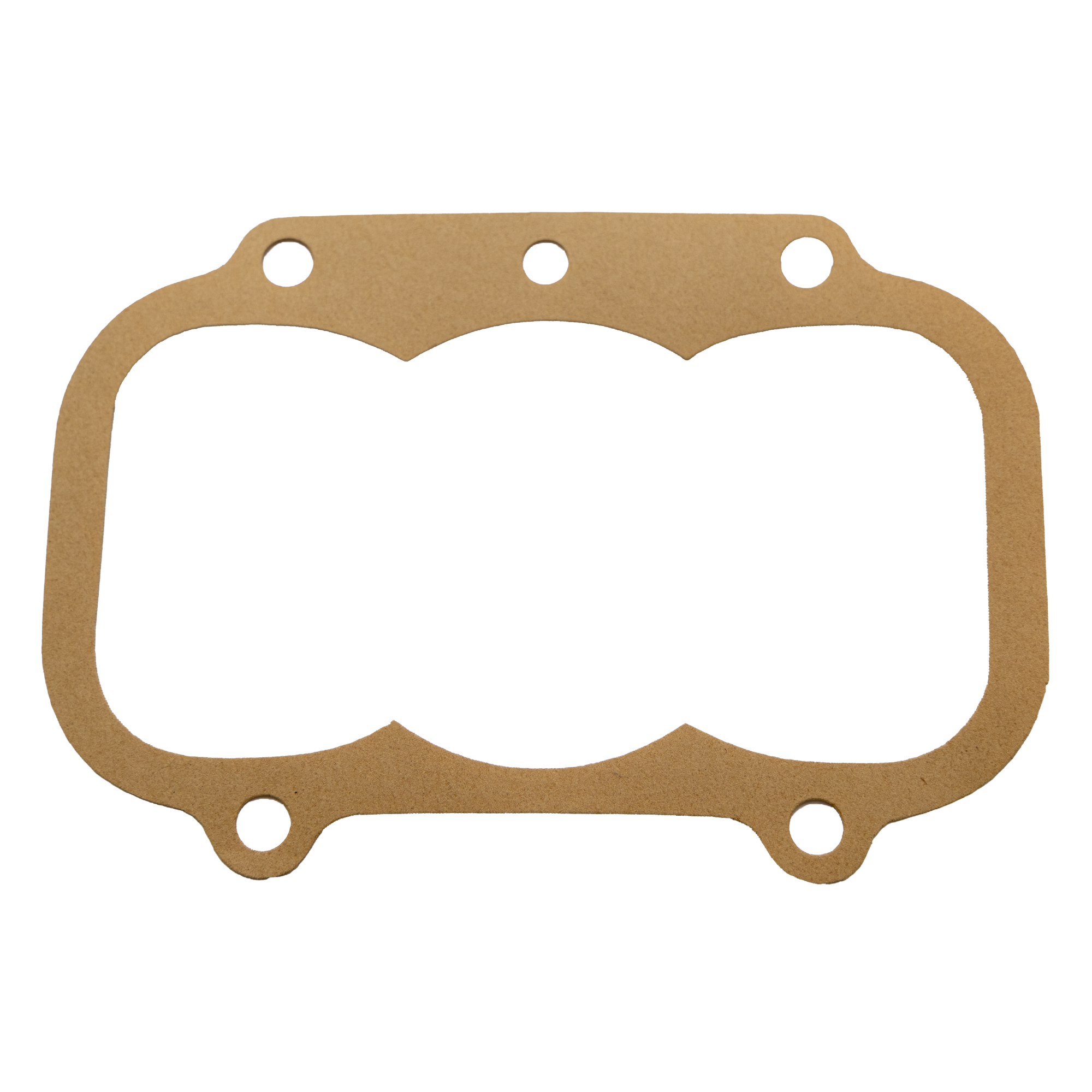Gasket MS gearcase rear FRG20889